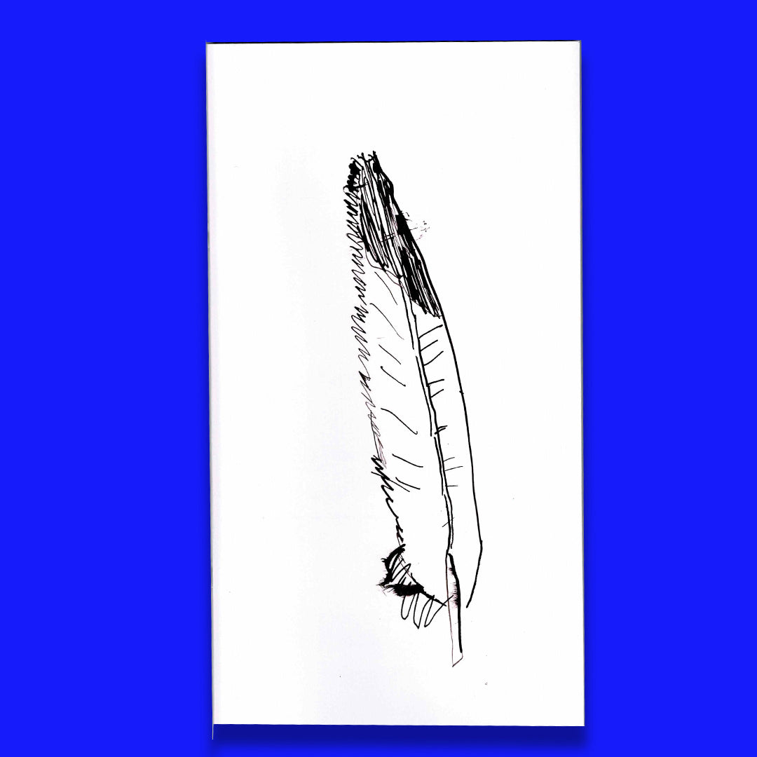 29 oiseaux dessinés avec leurs plumes trouvées
