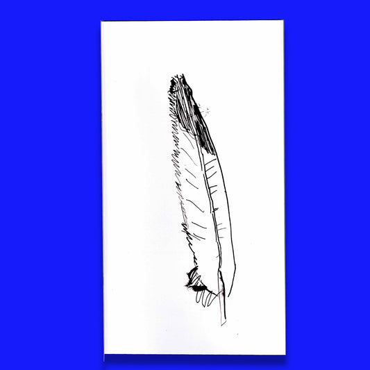 29 oiseaux dessinés avec leurs plumes trouvées