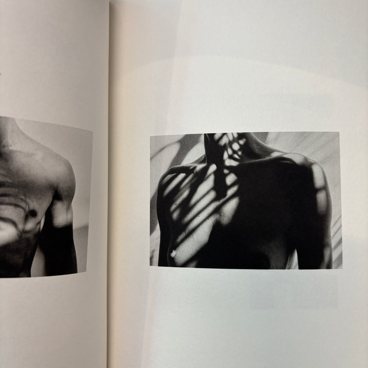 Jack Davison Maroma (As Seen By Collection)