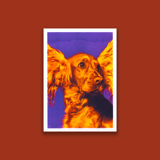 Dogo C (A5)