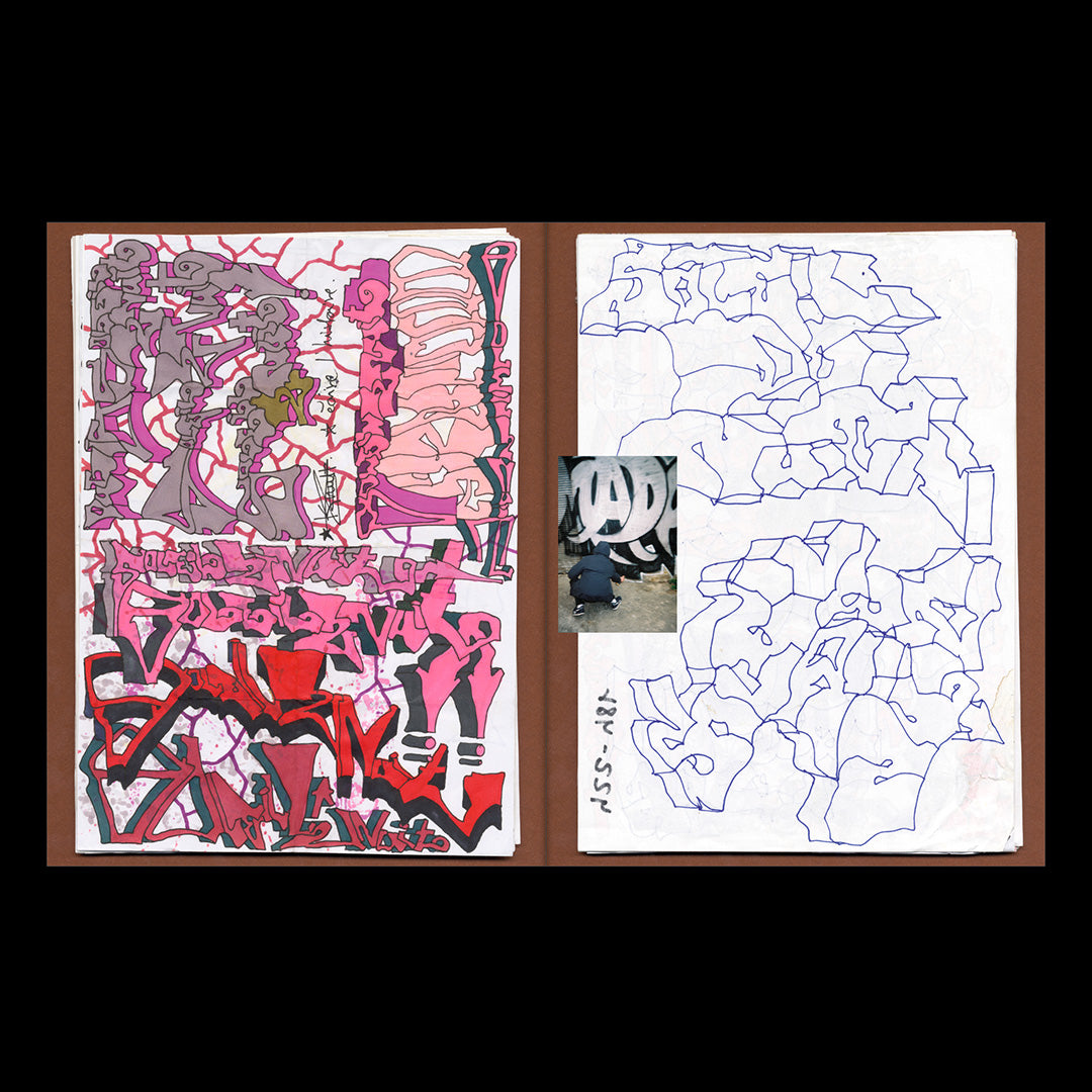 Paysages et dessins (2014-26) [TML 8]