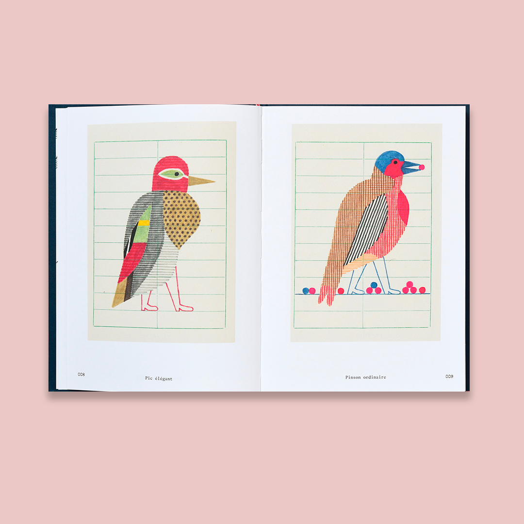 Oiseaux