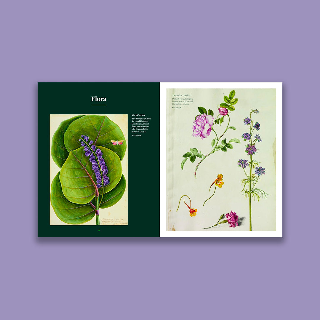 Botanicals: From the Royal Collection