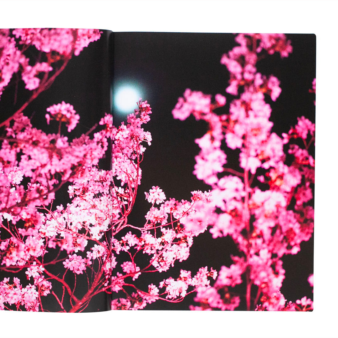 Eternity in a Moment Vol 1