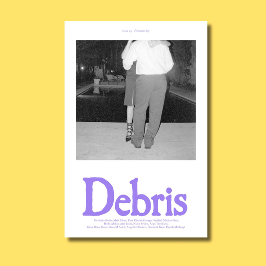 Debris n°5