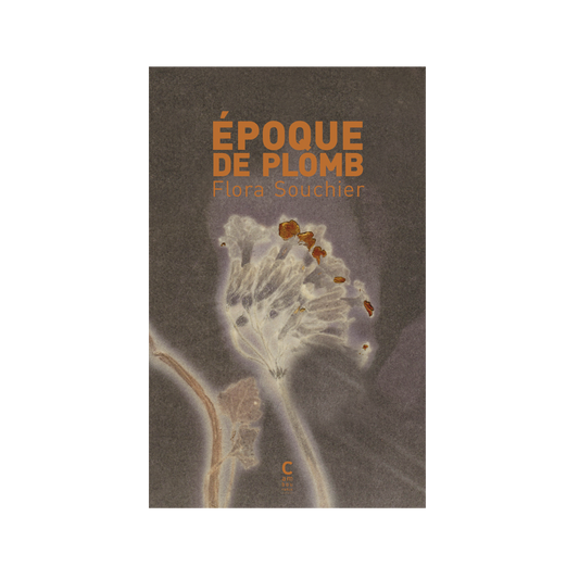 Époque de plomb
