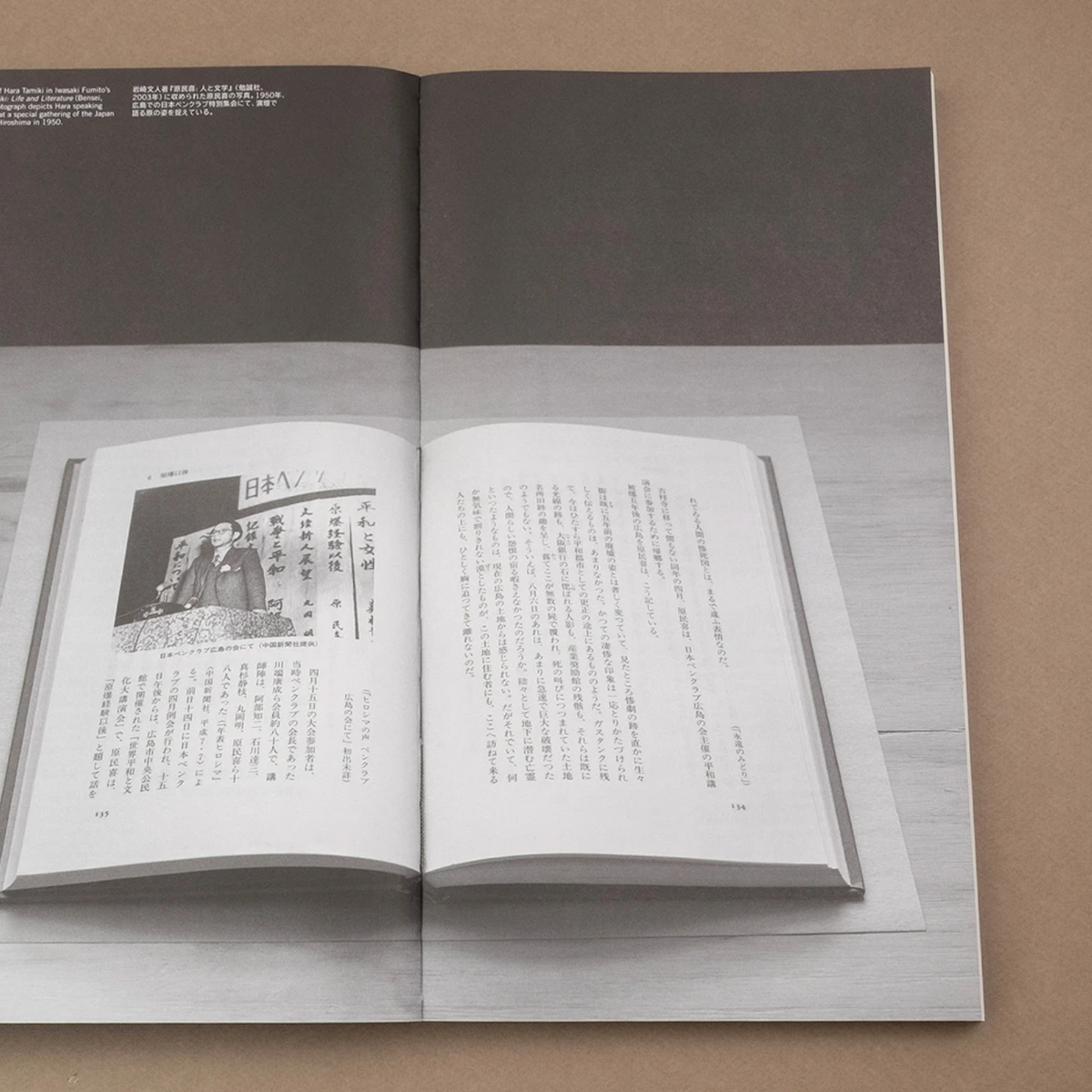 Dead Letter Room — A transhistorical correspondence with Hara Tamiki