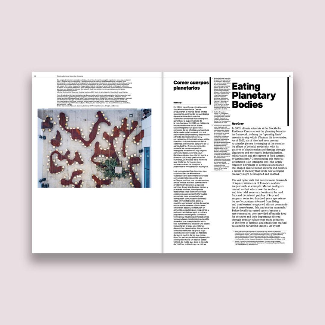 Cooking Sections Waves Lost to Sea