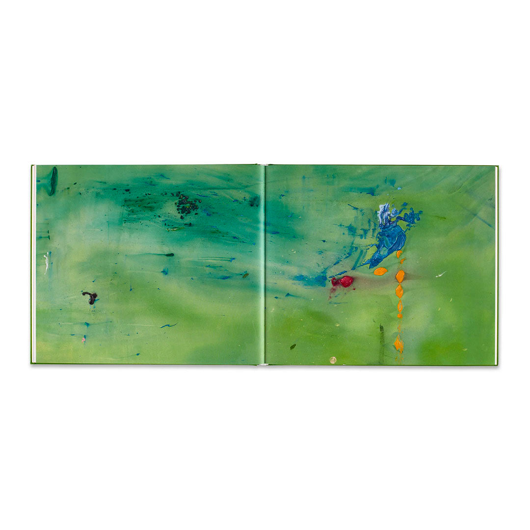 Helen Frankenthaler The Moment and the Distance