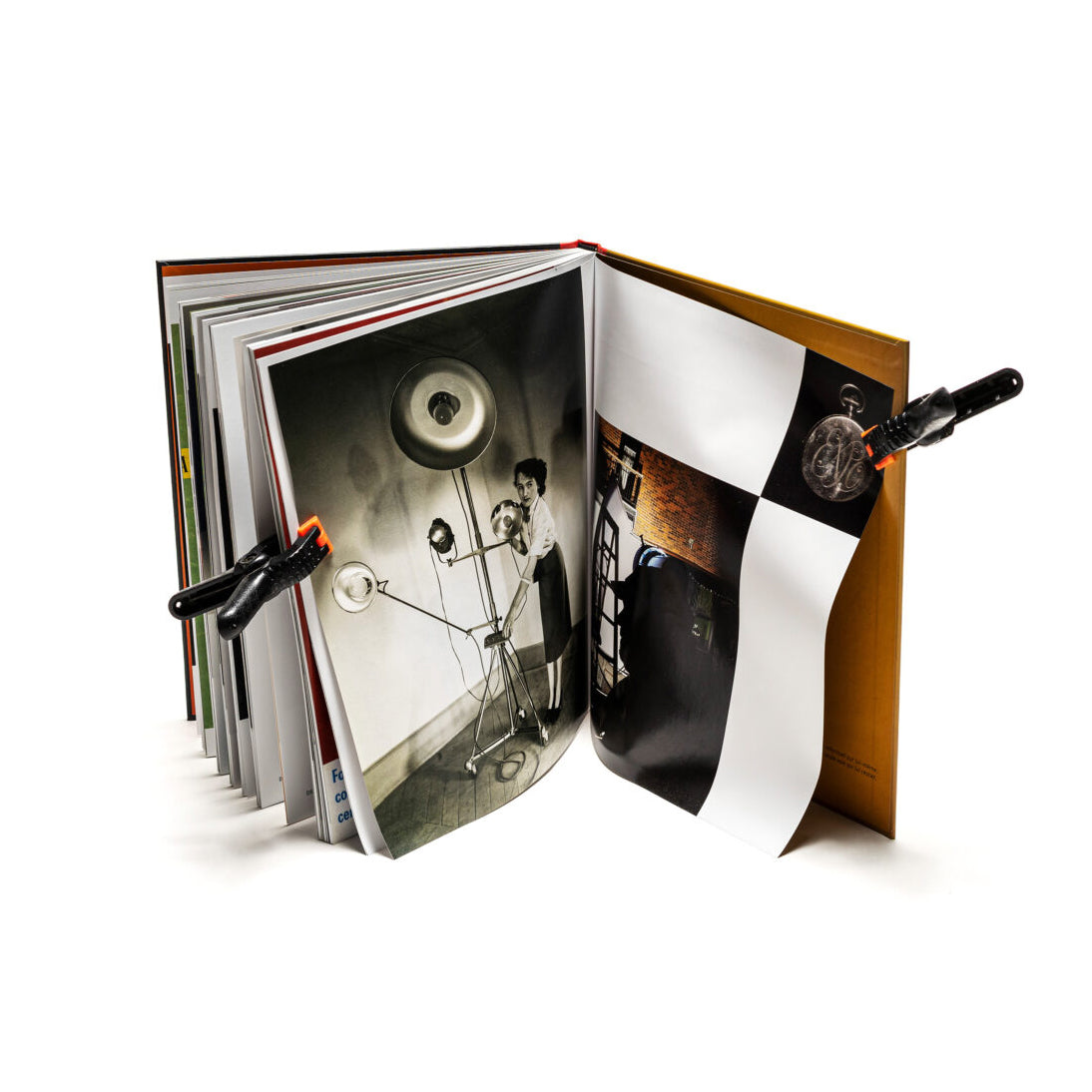 The Donkey that became a zebra