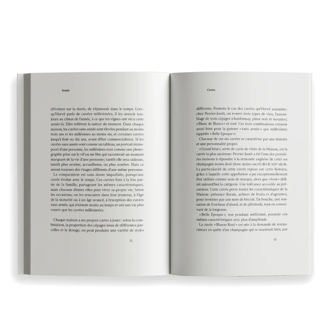 Ryoko Sekiguchi Sentir