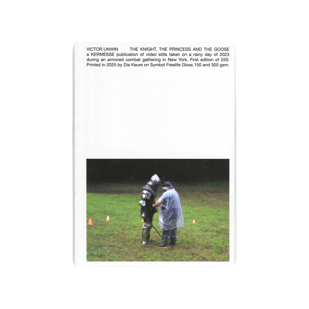 The knight, the princess and the goose