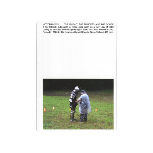 The knight, the princess and the goose