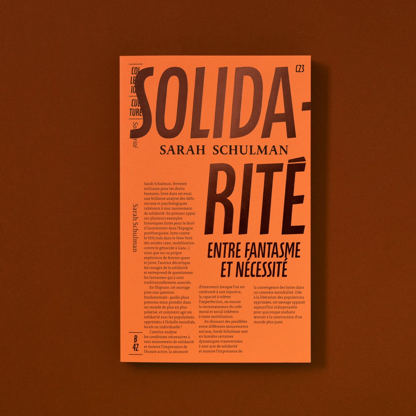 Solidarité, entre fantasme et nécessité