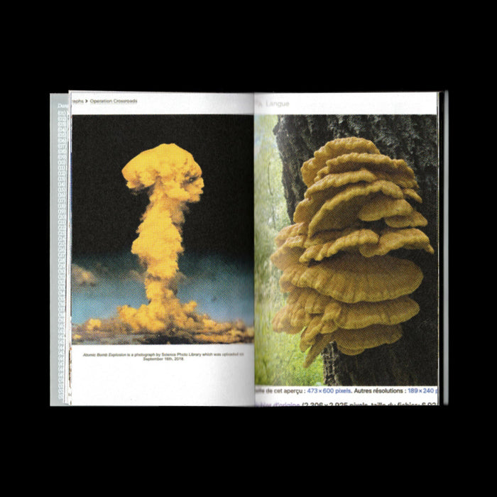 Pyrocumulus : un atlas de champignons
