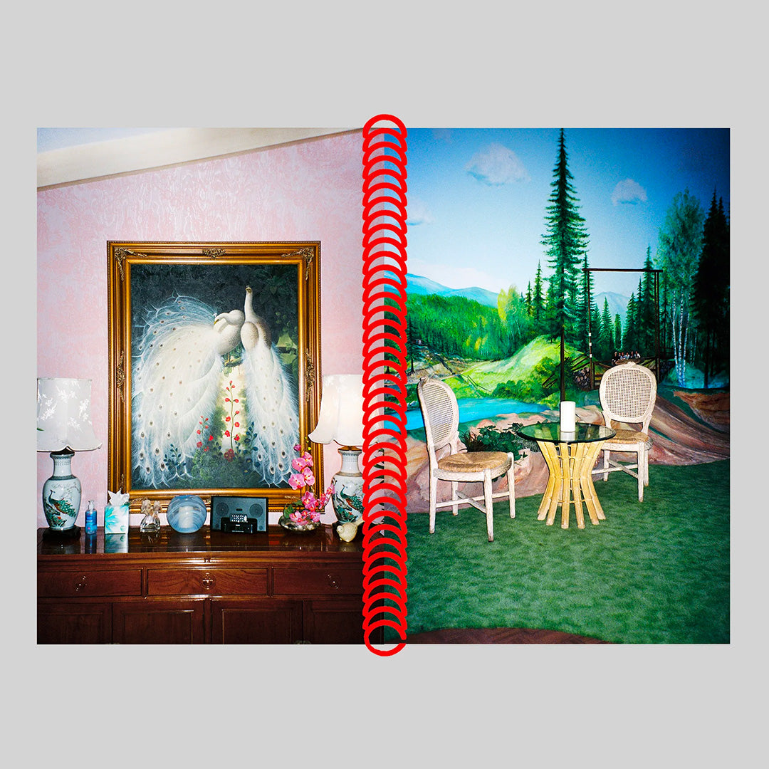 DESERT GRILL DOLLAR TREE FOSSILS TRAP