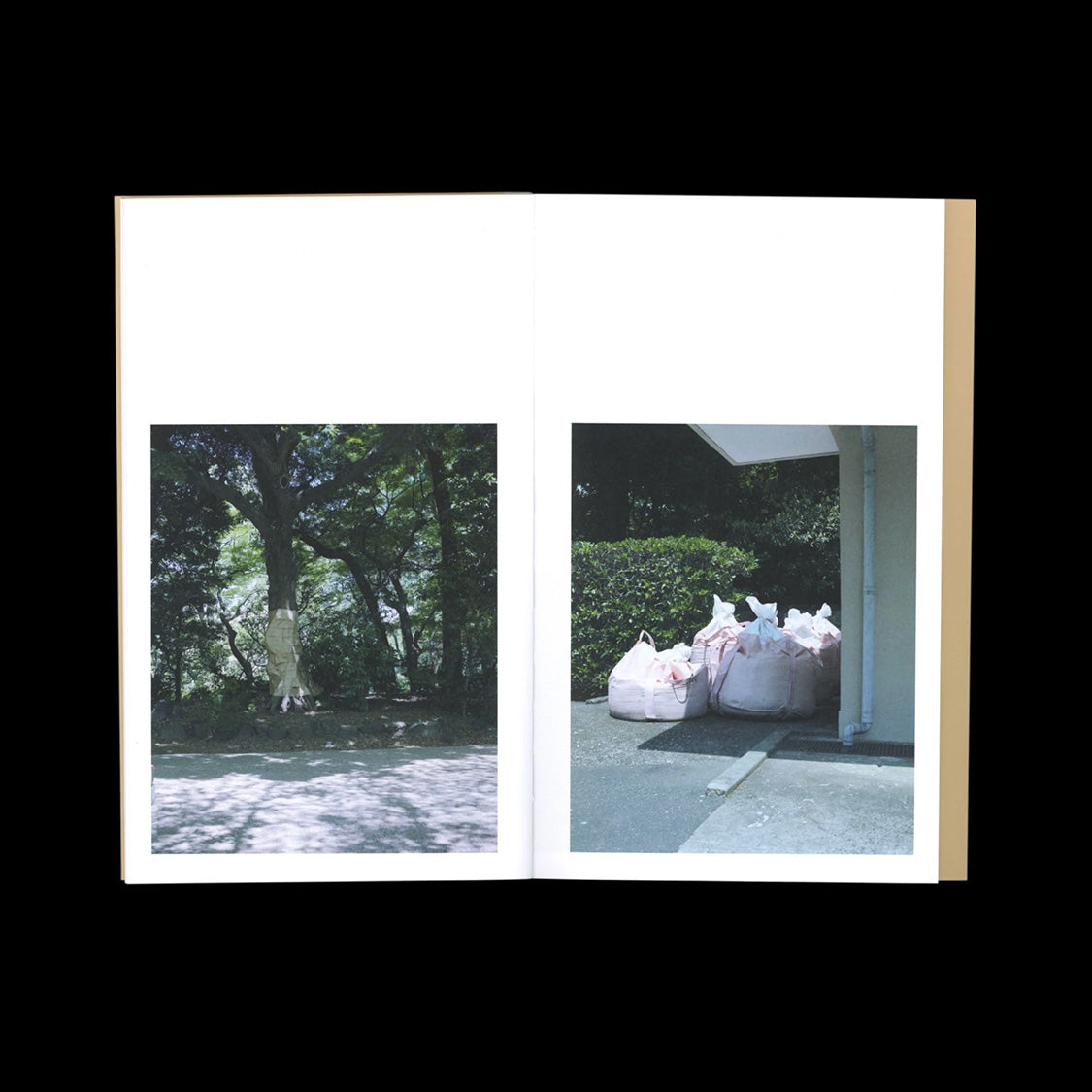 BTS – Behind the Scenes – librairie sans titre