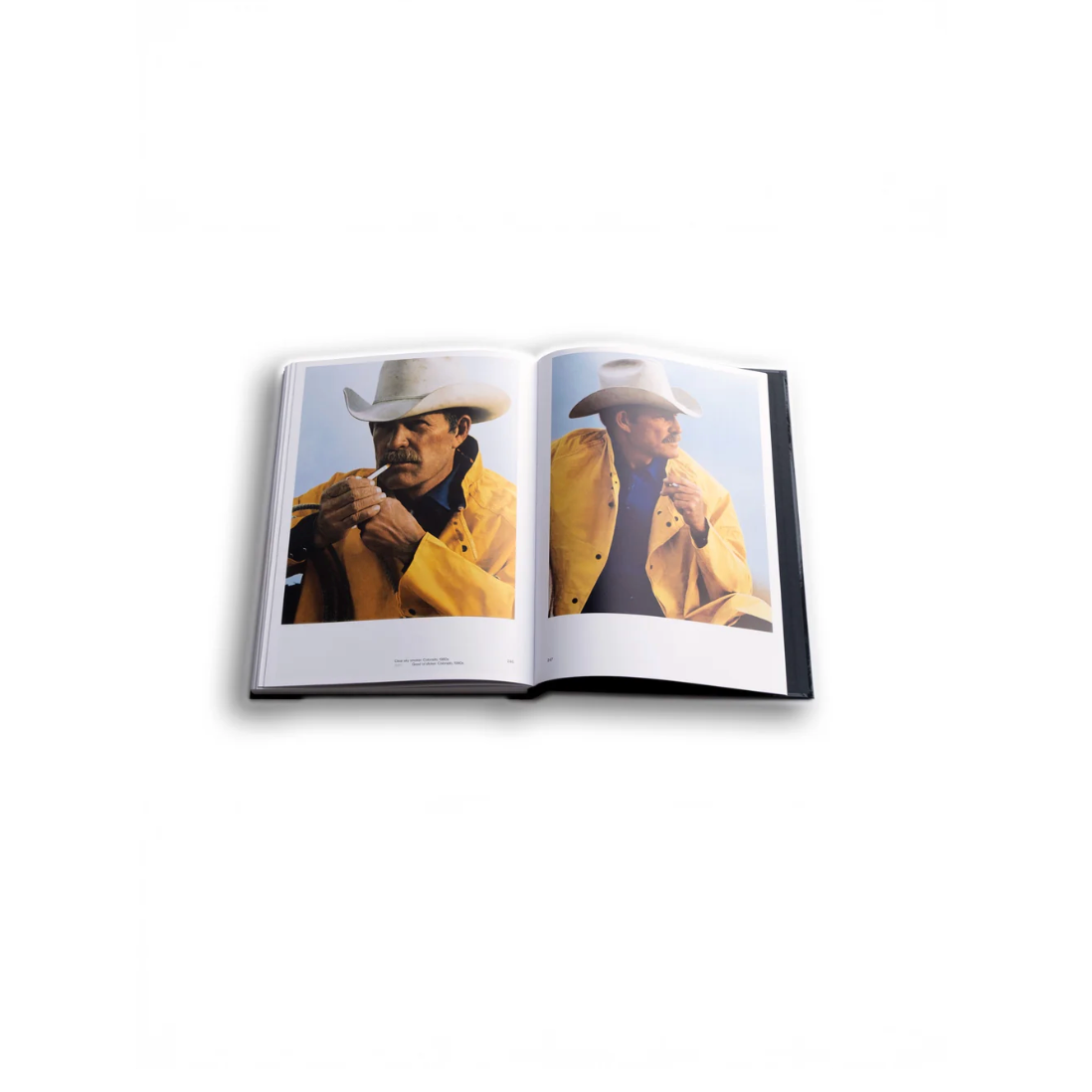 Co Rentmeester Witnessing Life