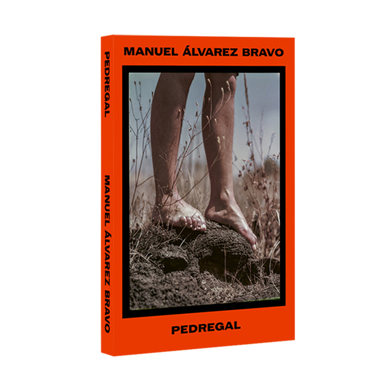 Manuel Alvarez Bravo Pedregal