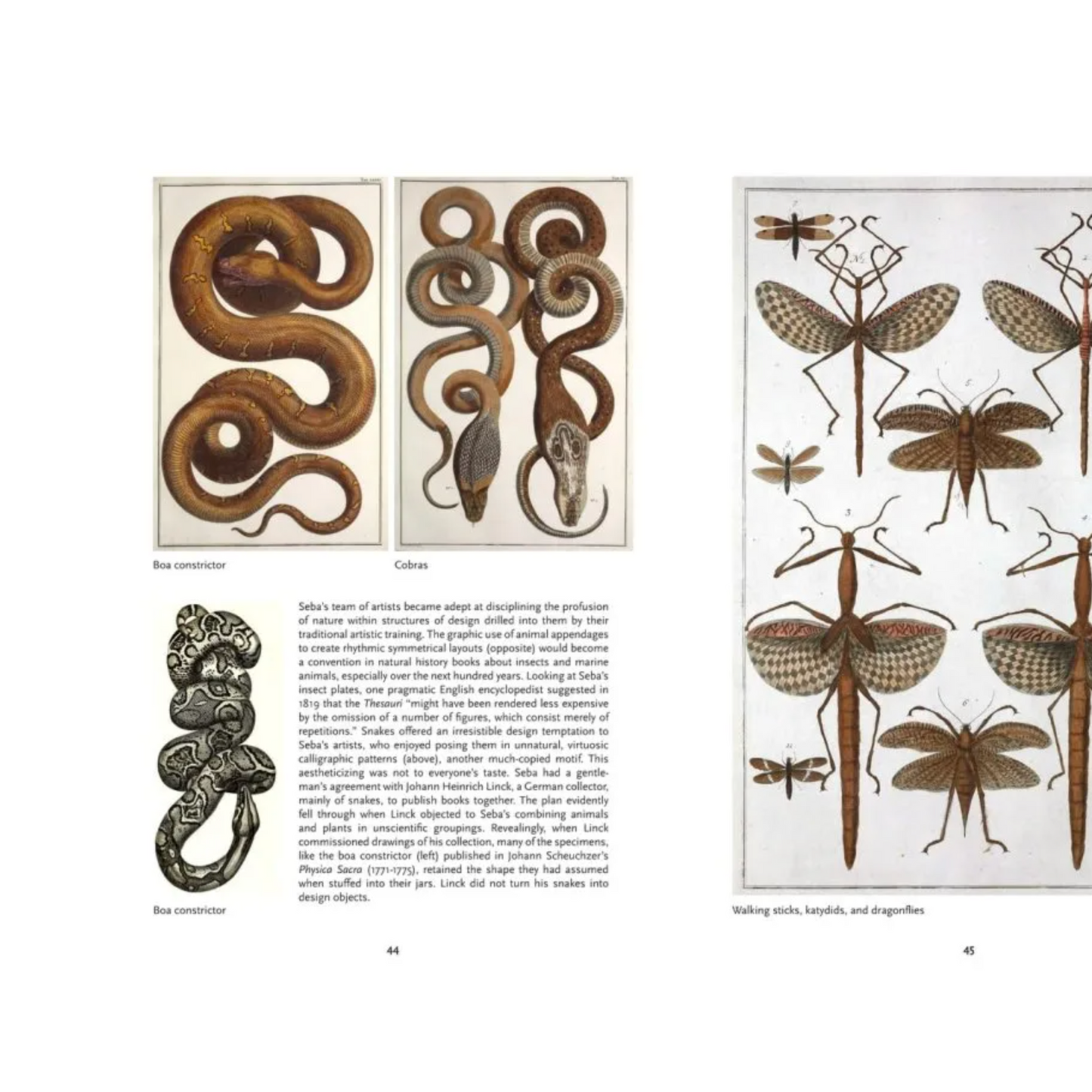 The Art of Biodiversity