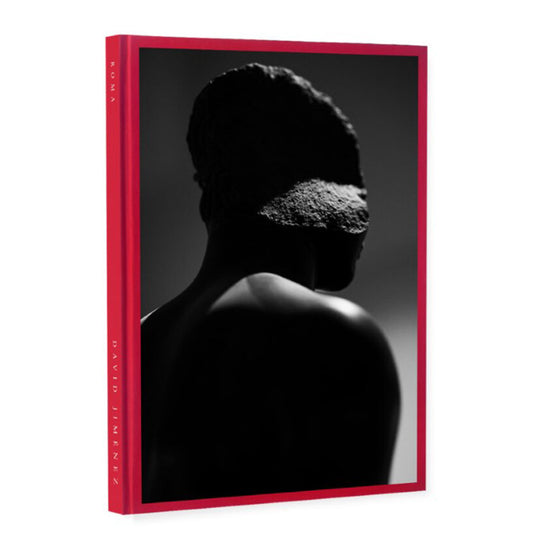 David JimEnez ROMA /anglais/espagnol