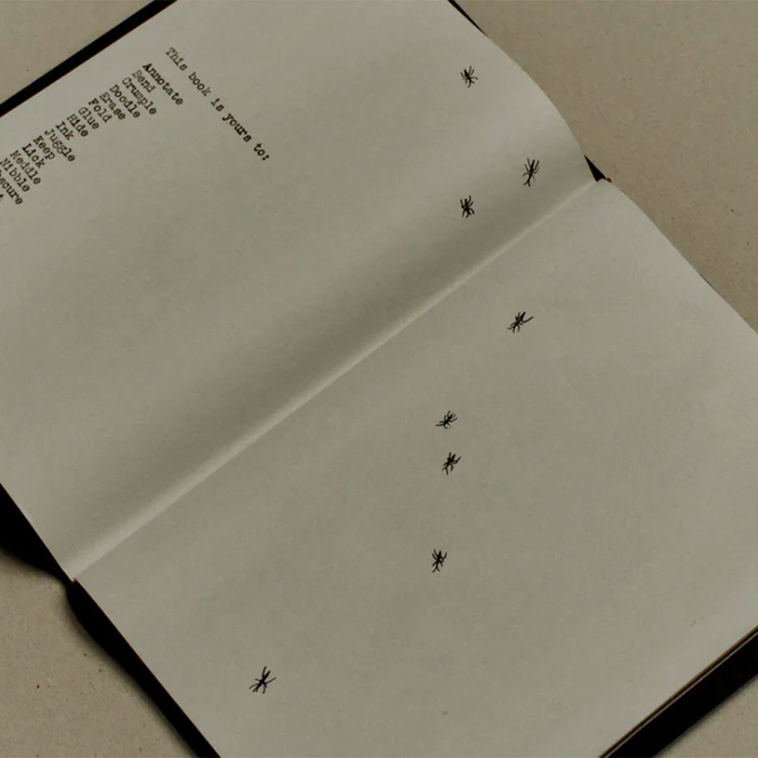 A is for Ant Newspaper