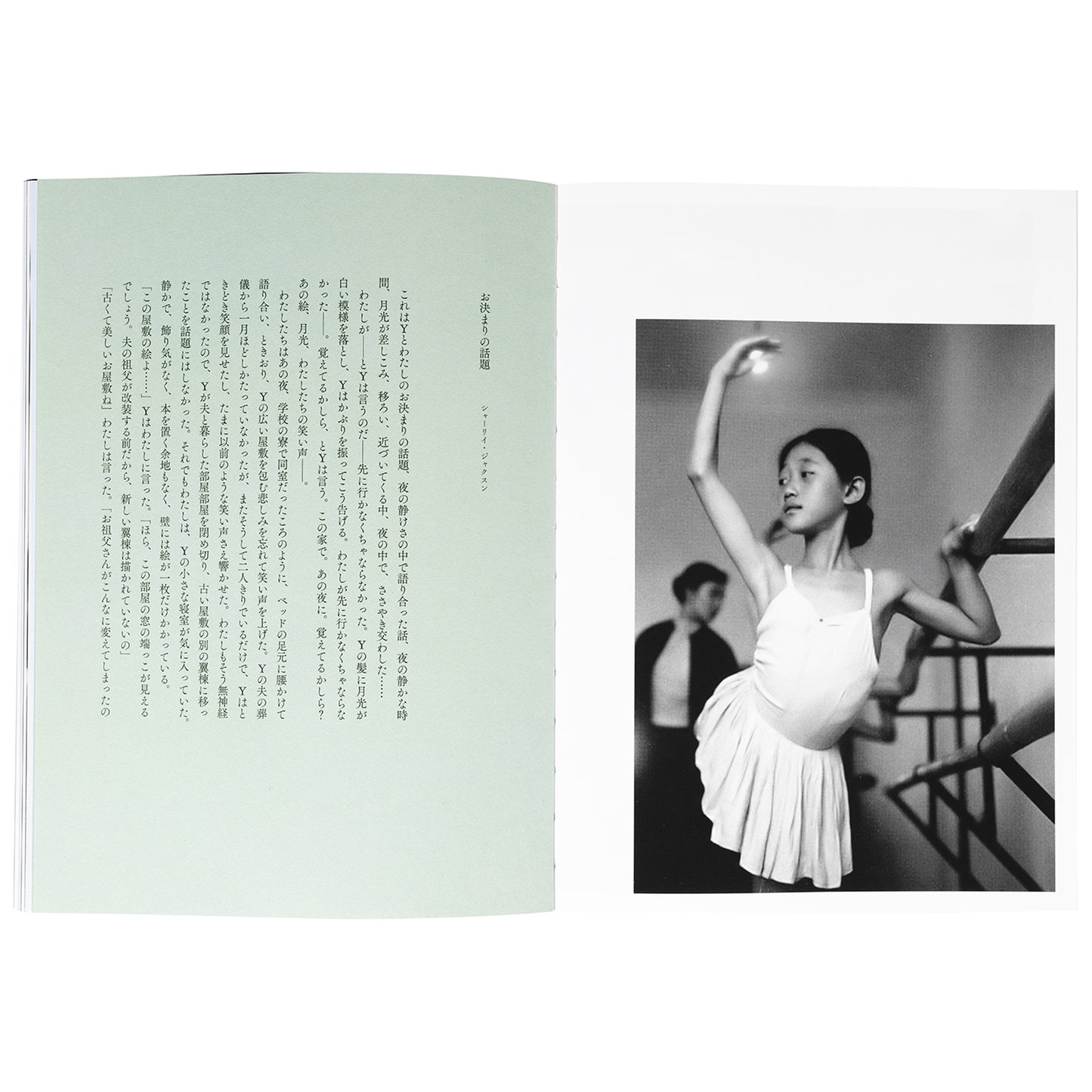 The Story We Used to Tell: Photographs by Chris Marker with a Story by Shirley Jackson