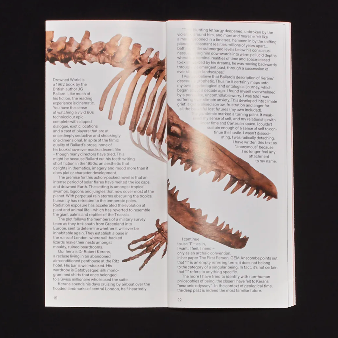 Real Review Issue 16