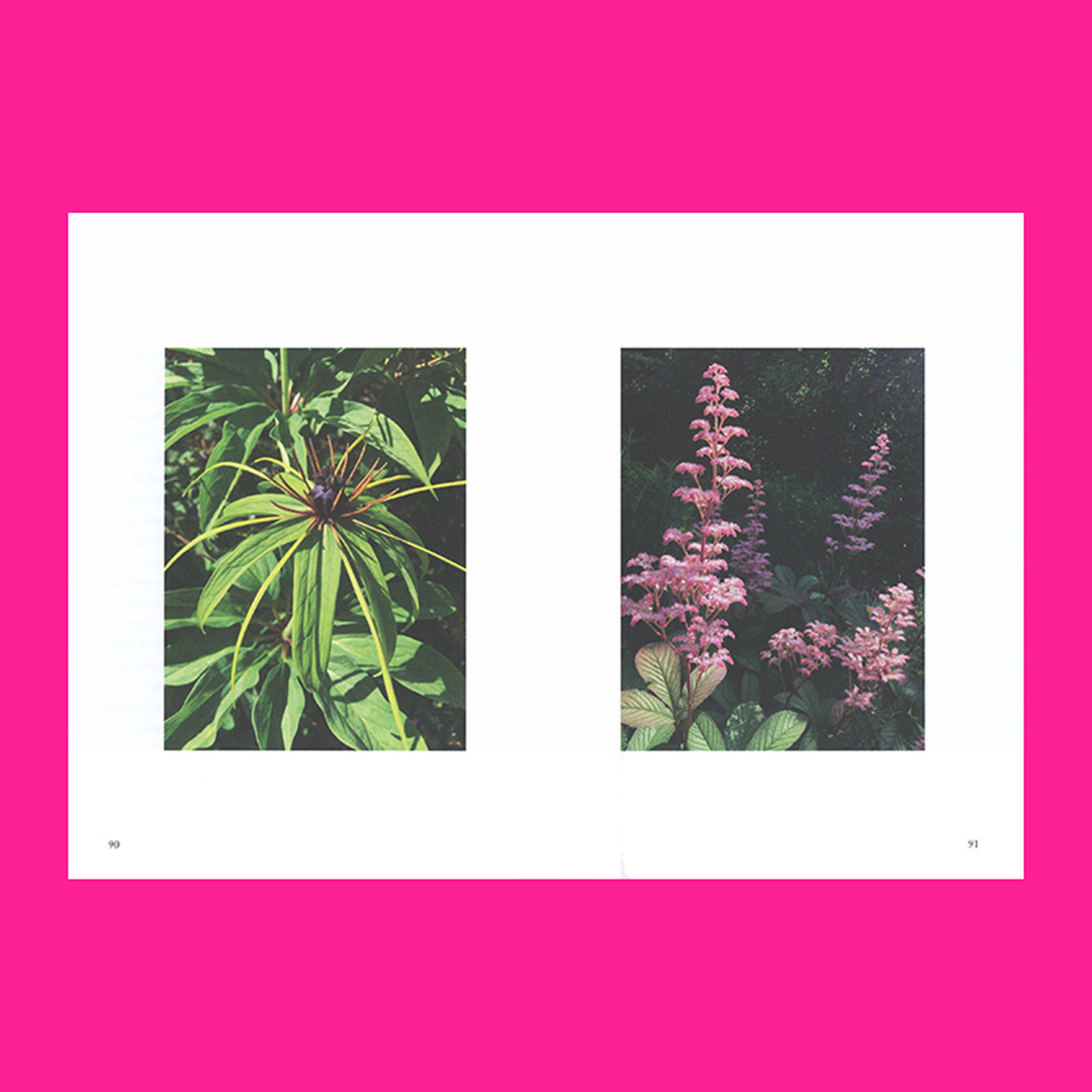 A Garden Manifesto