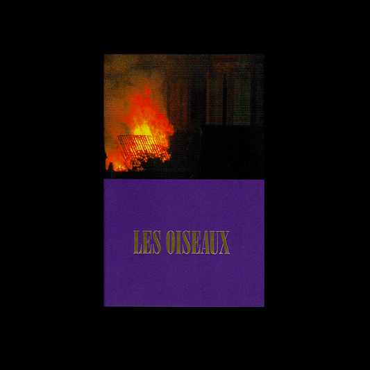Les Oiseaux