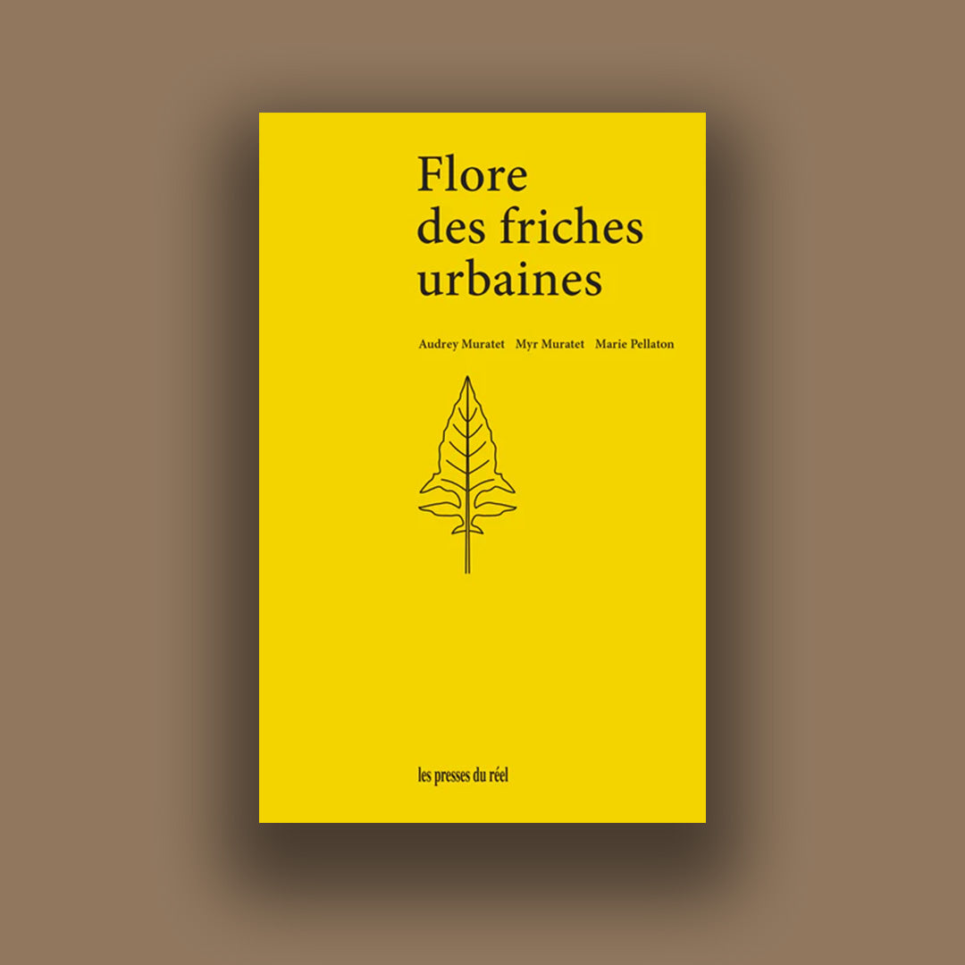 Flore des friches urbaines