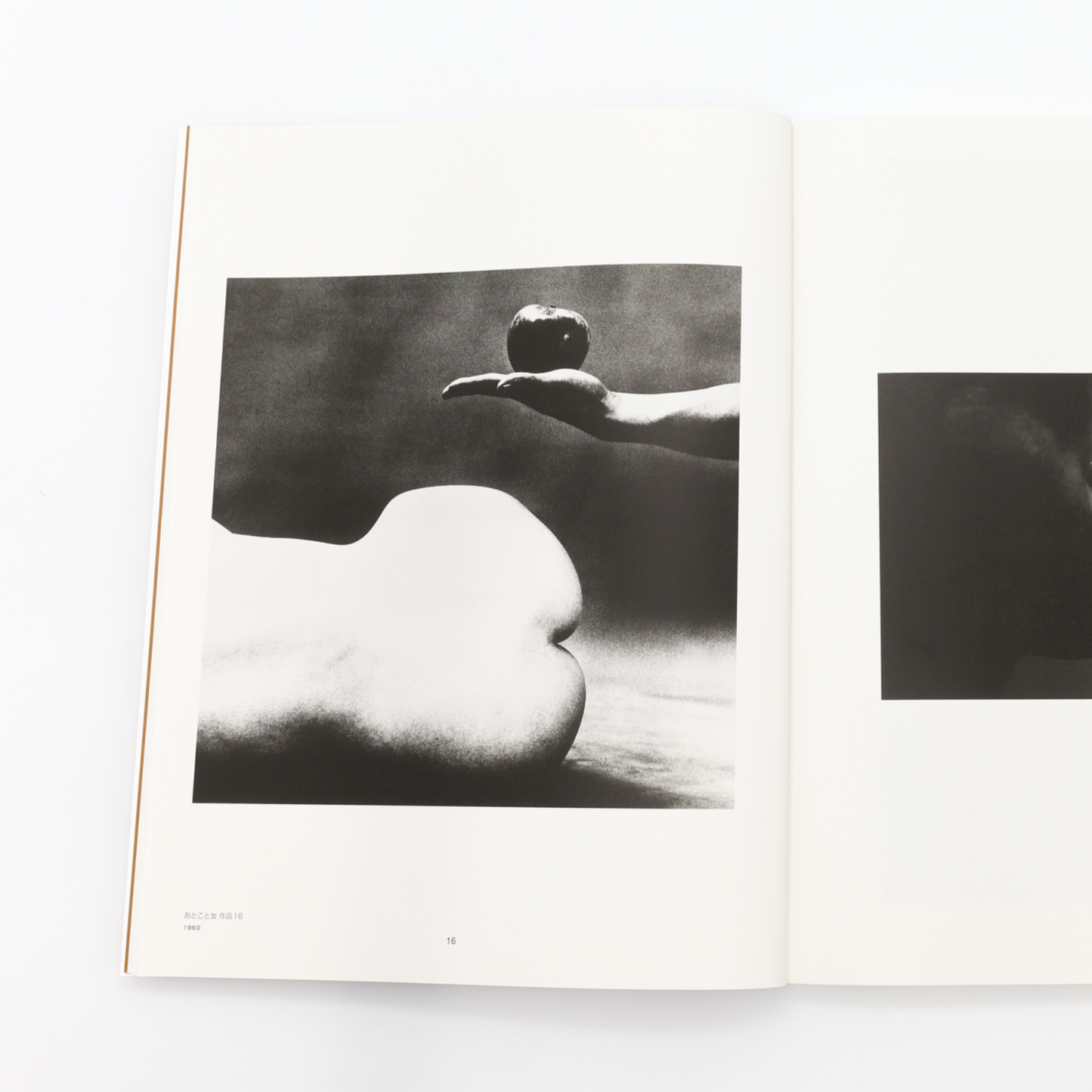 A World of Eikoh Hosoe (new edition)