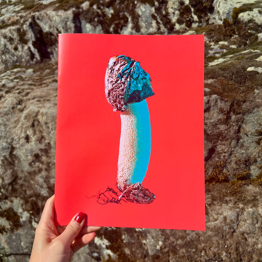 Mushrooms and Friends 3 (2nd Printing)