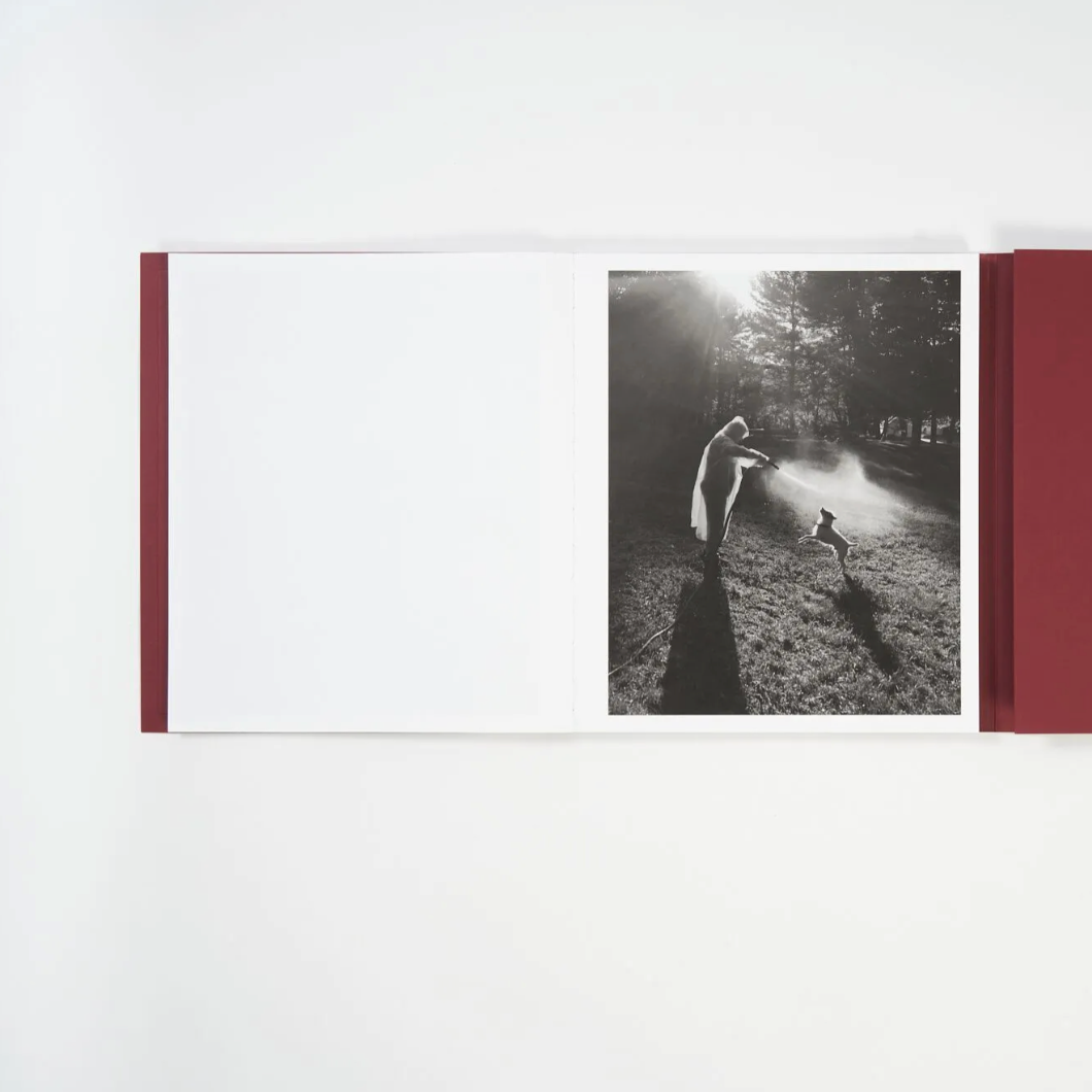 Calling the Bird Home