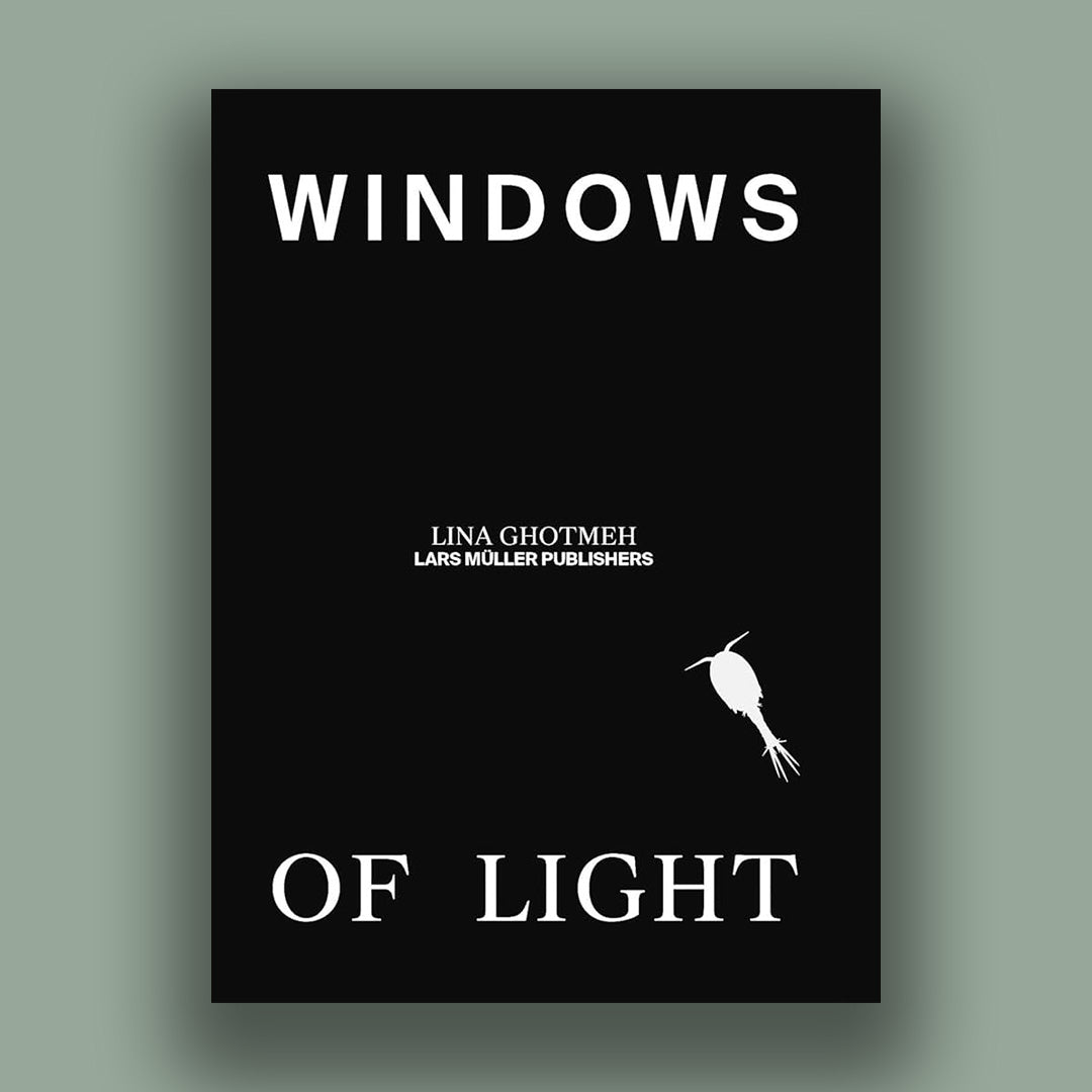 Windows Of Light /anglais