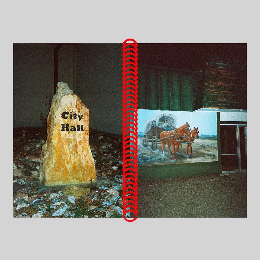 DESERT GRILL DOLLAR TREE FOSSILS TRAP