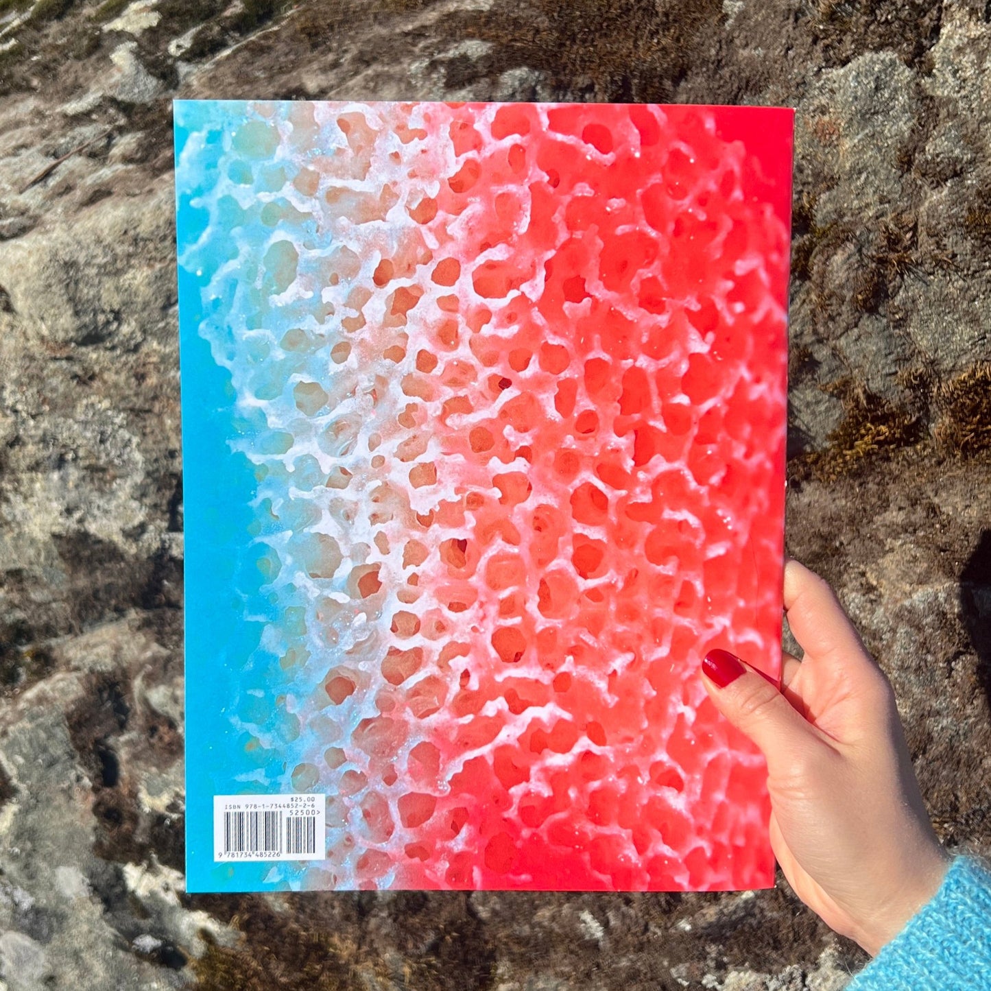 Mushrooms and Friends 3 (2nd Printing)