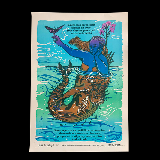 Affiche Jano Rhode Pineda