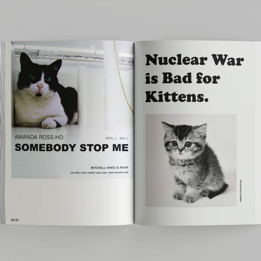 More than cat food