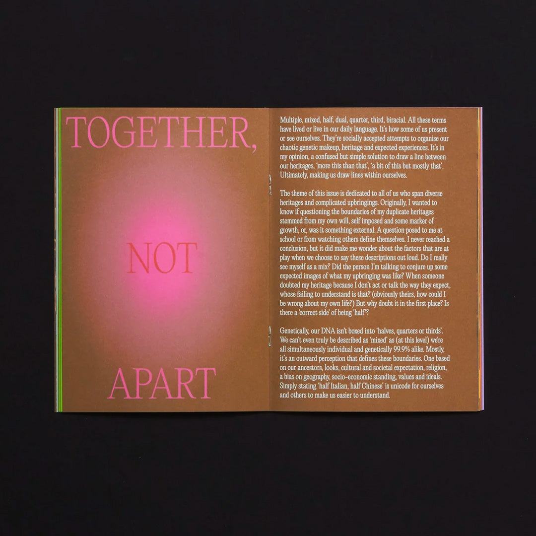 FatBoy Zine Issue 6: Multi-Heritage. Together, Not Apart