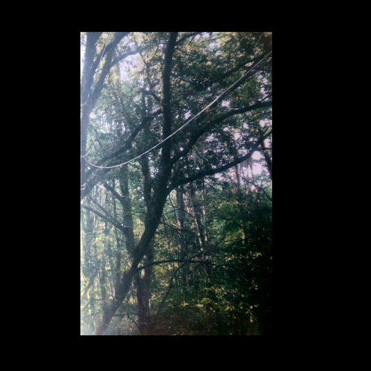 Stories from the ZAD of Notre-Dame-Des-Landes