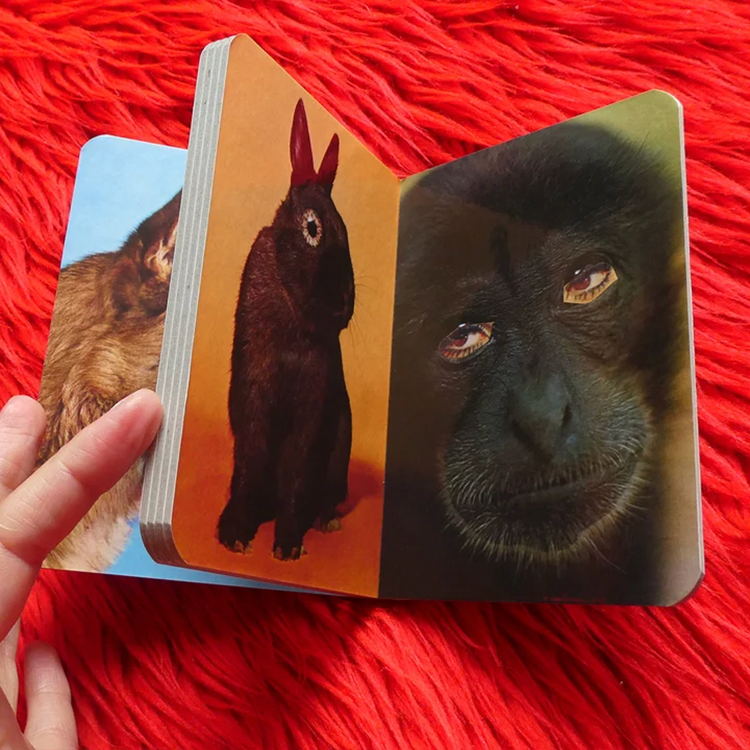 Various Animals