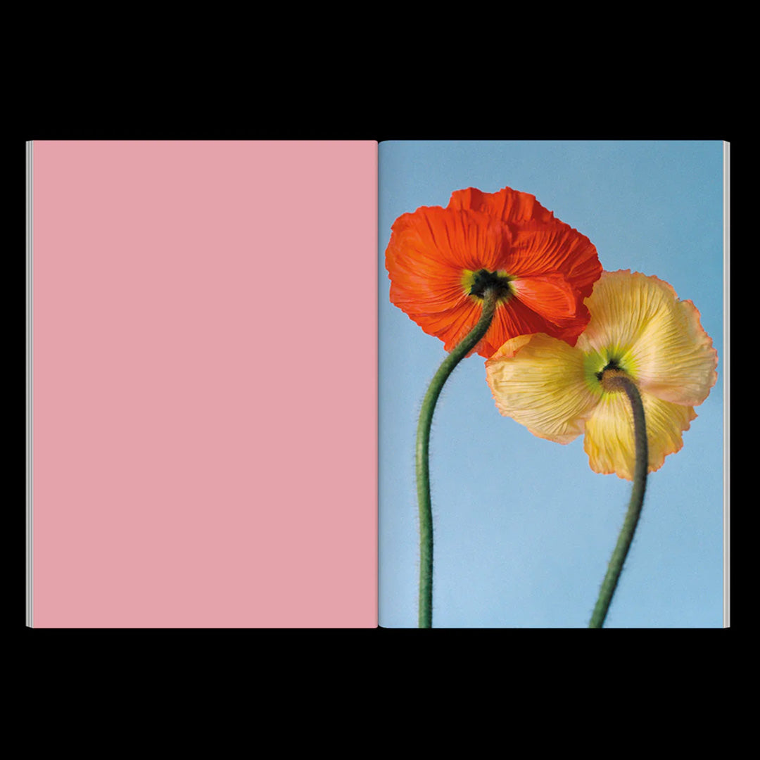 The Chromatics of Flowers