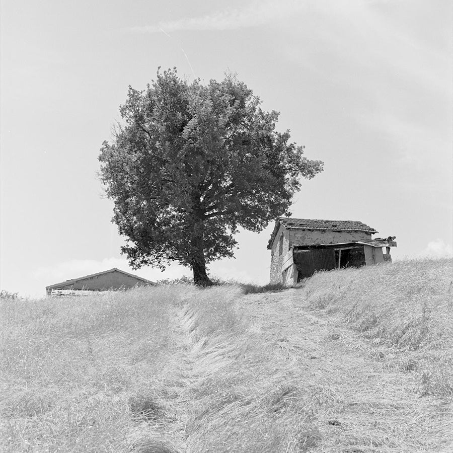 Borderland