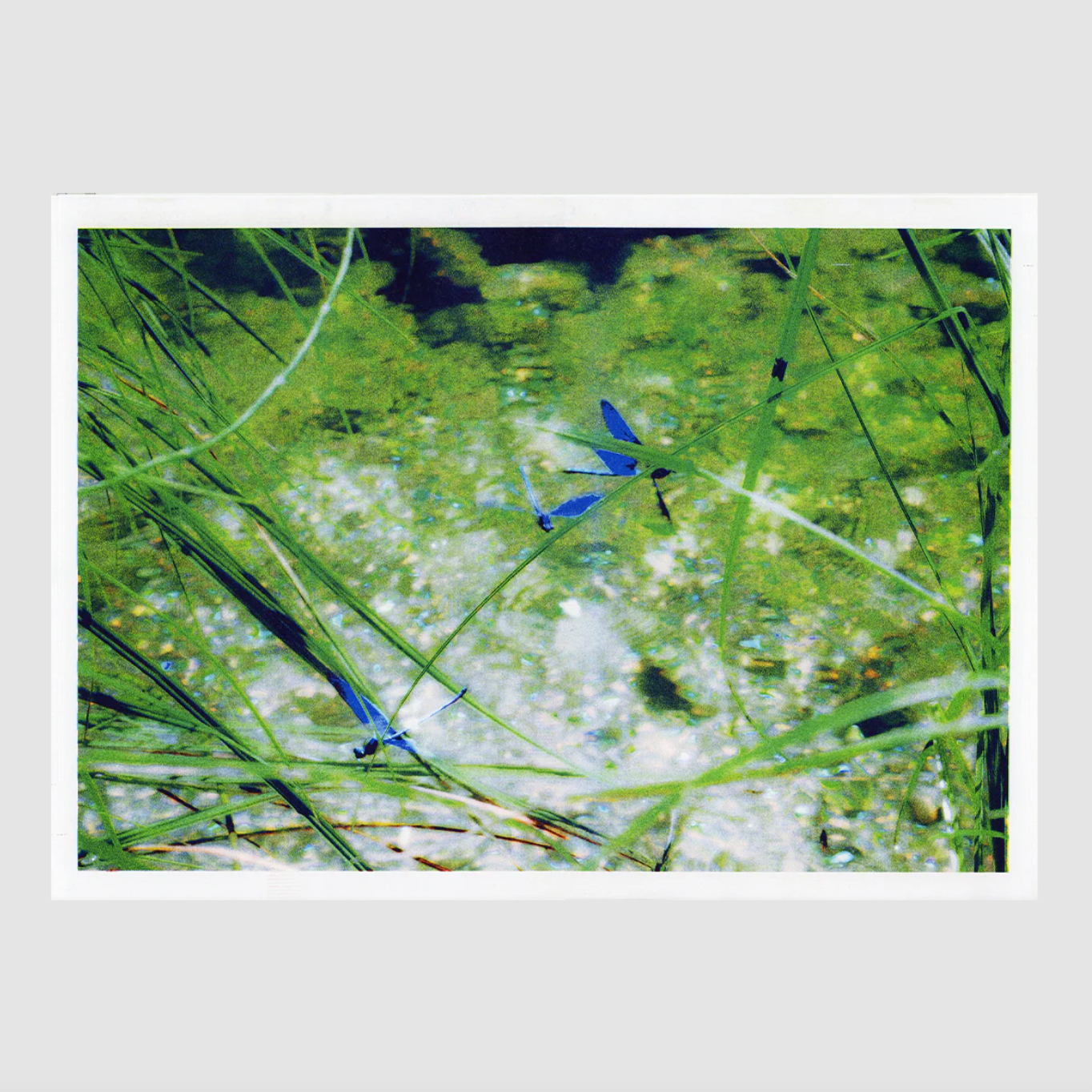 fresh summer breeze 3 [A2] Rubén Montesinos