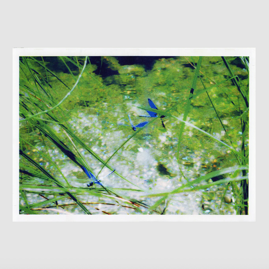 fresh summer breeze 3 [A2] Rubén Montesinos