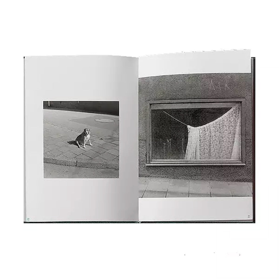 Gunnar Smoliansky: A Moment Beyond