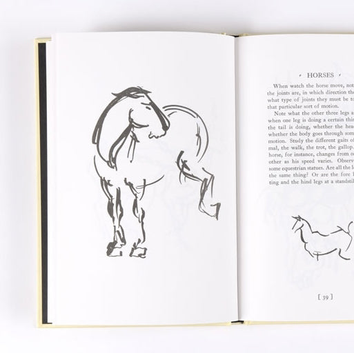 Animal Sketching