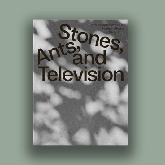 Zygmunt Rytka Stones Ants and Television /anglais