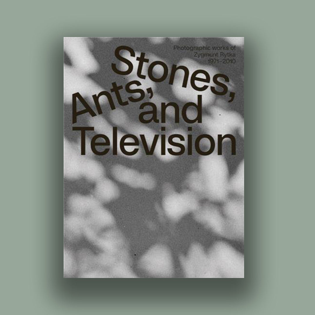 Stones Ants and Television